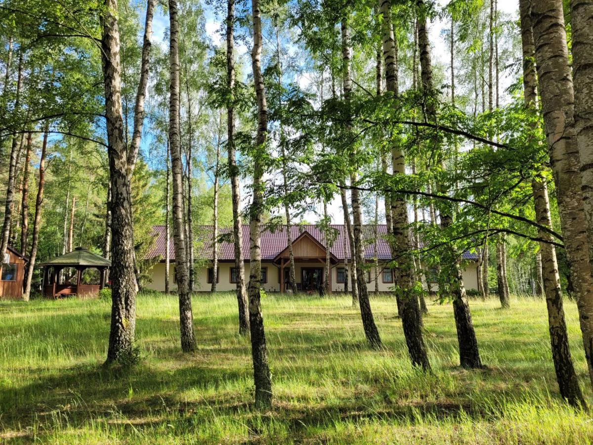 Osrodek Wypoczynkowy Zacisze Hotel Śliwice Eksteriør billede